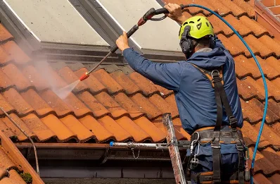 Démoussage et hydrofuge de toiture à Marly
